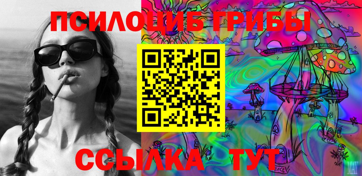 Галлюциногенные грибы Psilocybe Туапсе